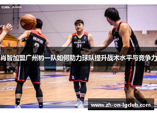 肖智加盟广州豹一队如何助力球队提升战术水平与竞争力 肖智加盟广州豹一队如何助力球队提升战术水平与竞争力